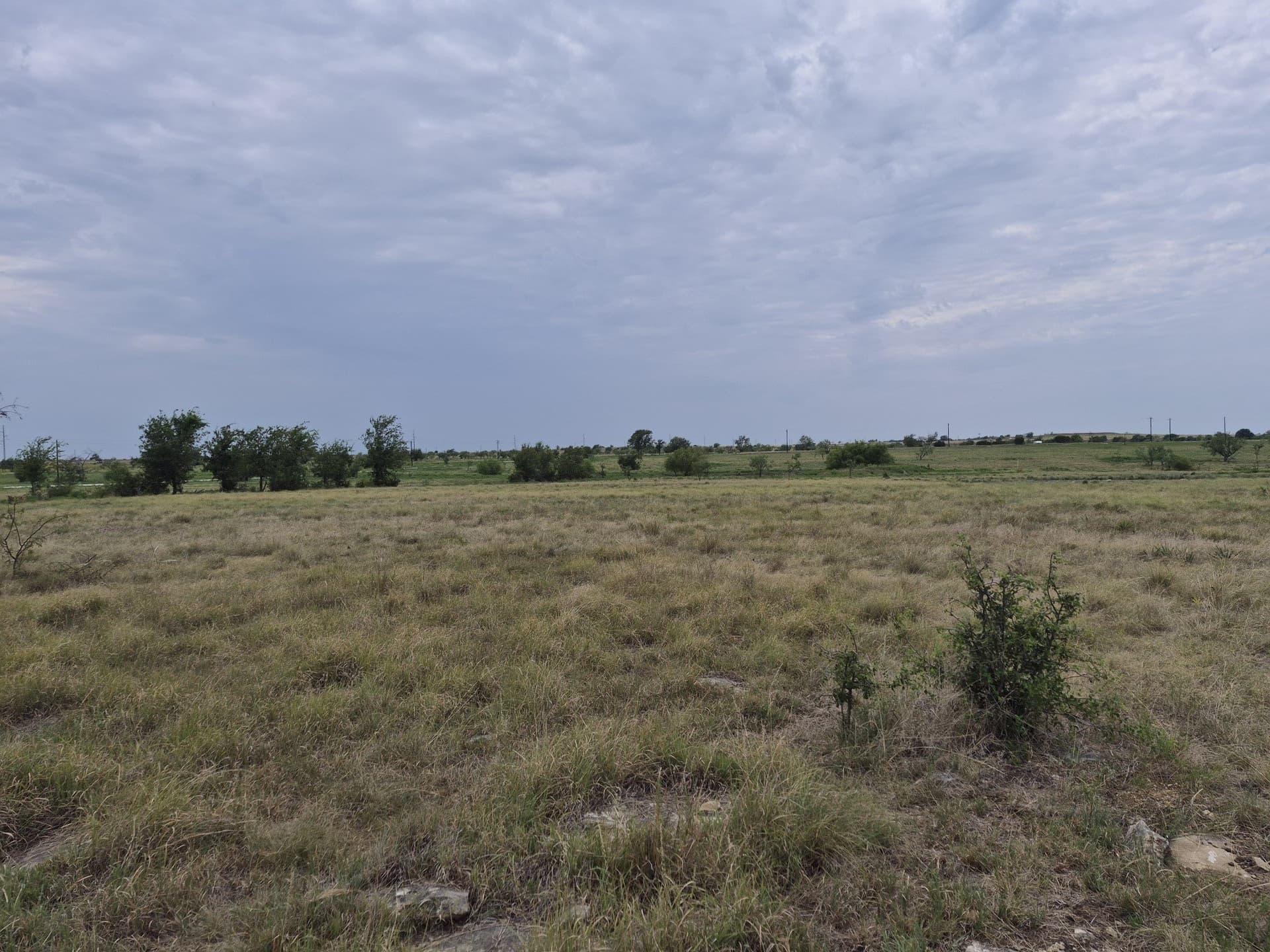 10.01 acres in Hamilton County - photo 10