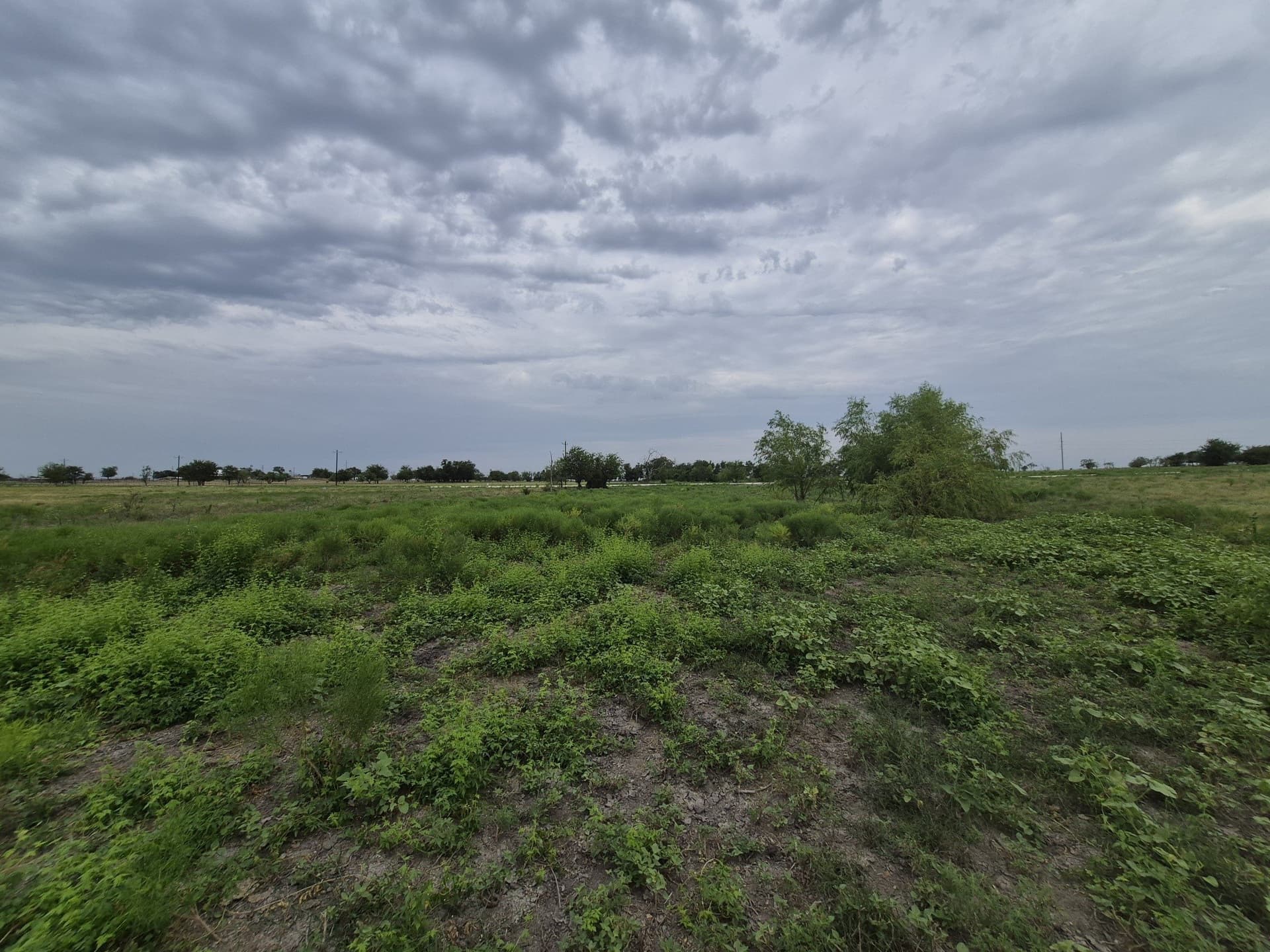 10.01 acres in Hamilton County - photo 6