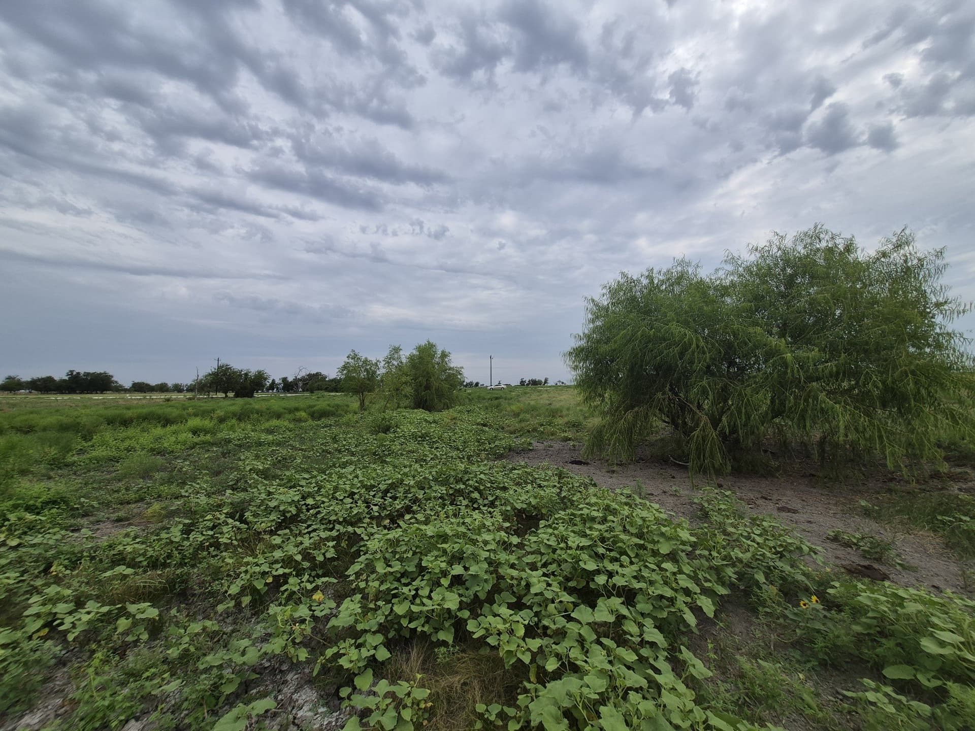 10.01 acres in Hamilton County gallery image 3
