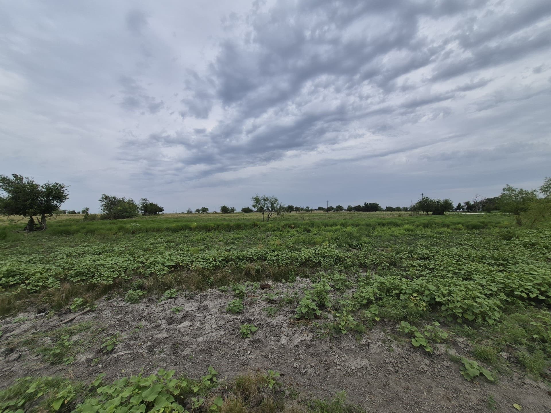 10.01 acres in Hamilton County featured view