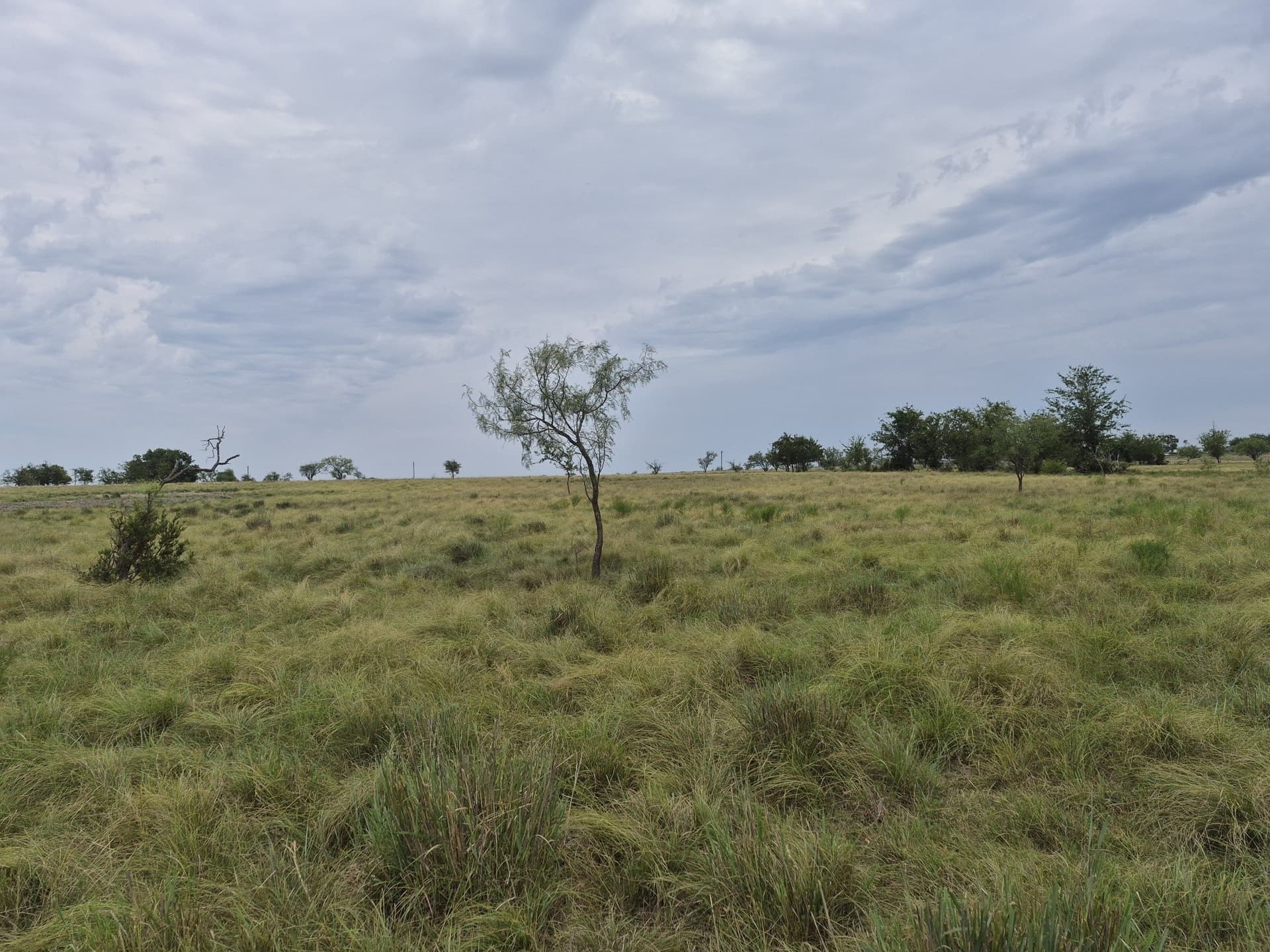 10.01 acres in Hamilton County - photo 9