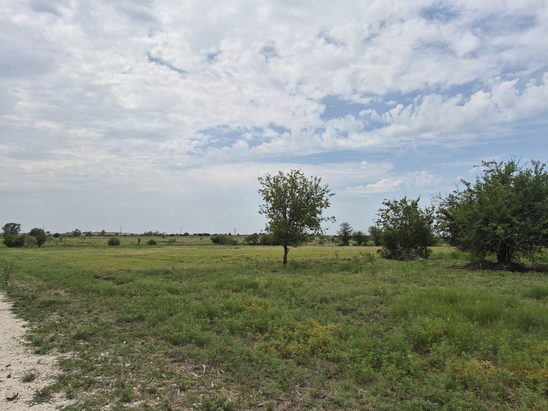 10.01 acres in Hamilton County gallery image 2