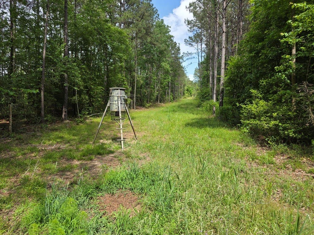 99.89 acres in Texas County - photo 79