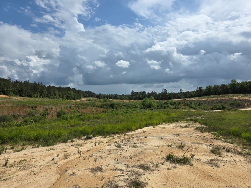 99.89 acres in Texas County - photo 65