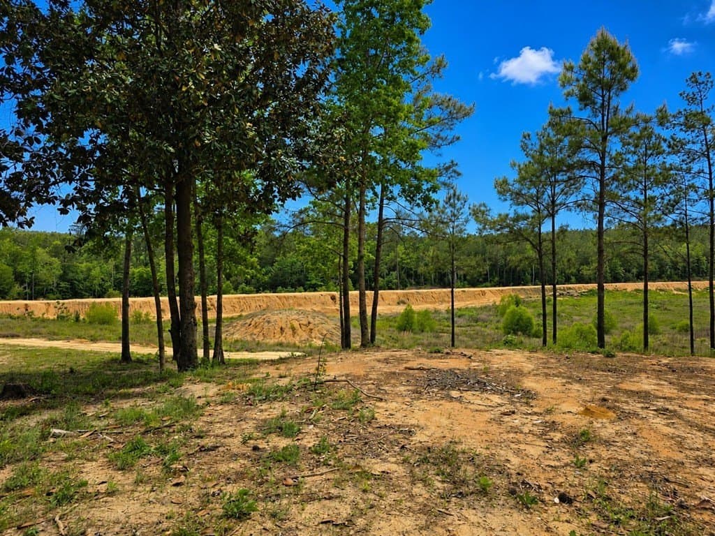 99.89 acres in Texas County gallery image 2
