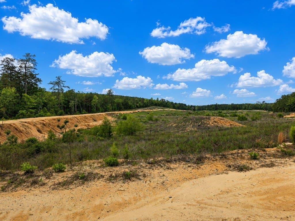 99.89 acres in Texas County - photo 7