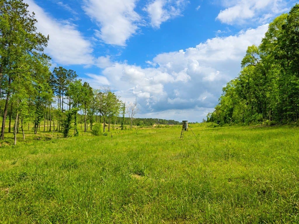 99.89 acres in Texas County - photo 8
