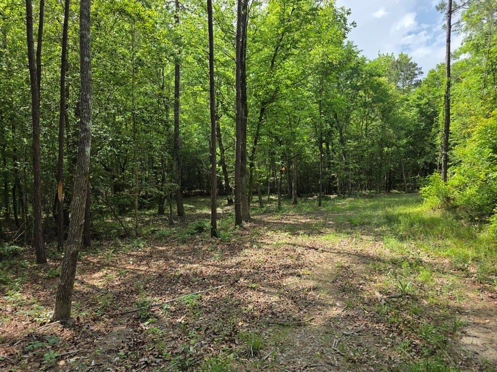 99.89 acres in Texas County - photo 75