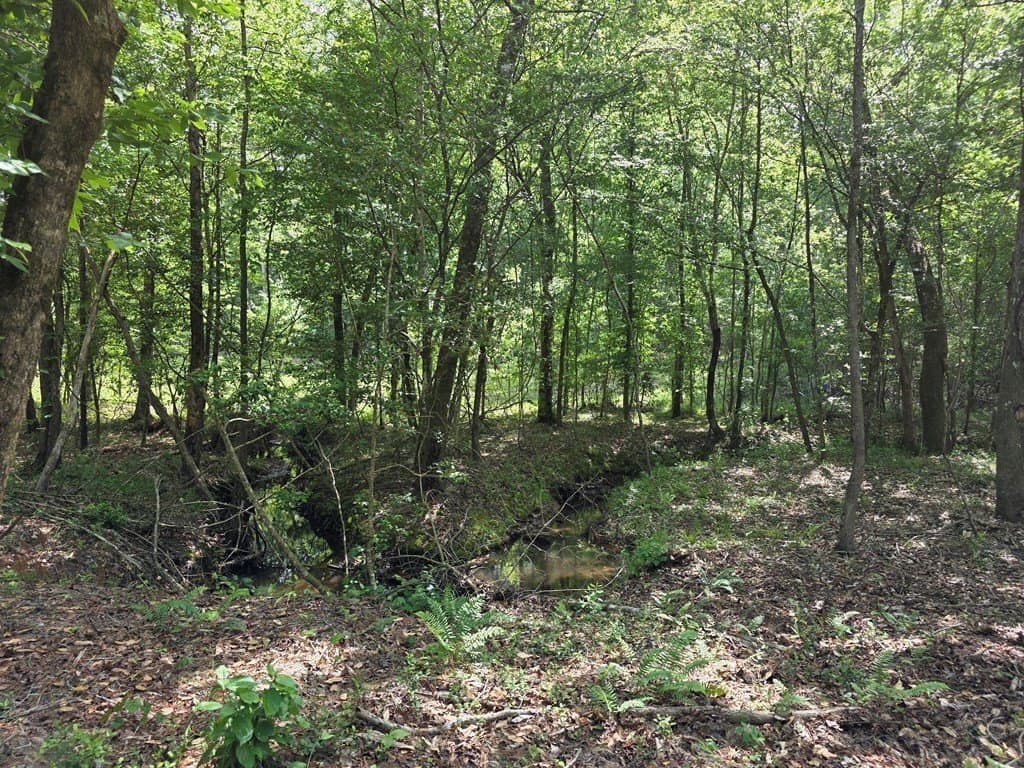99.89 acres in Texas County - photo 76