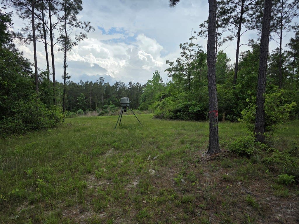 99.89 acres in Texas County - photo 87