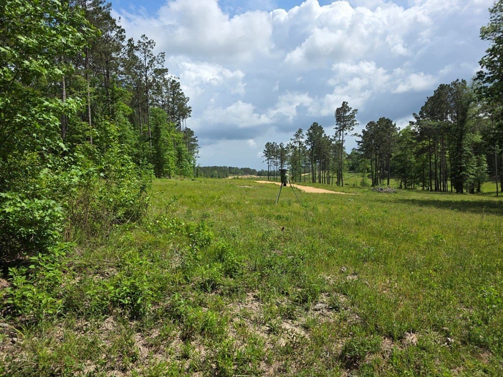 99.89 acres in Texas County - photo 74