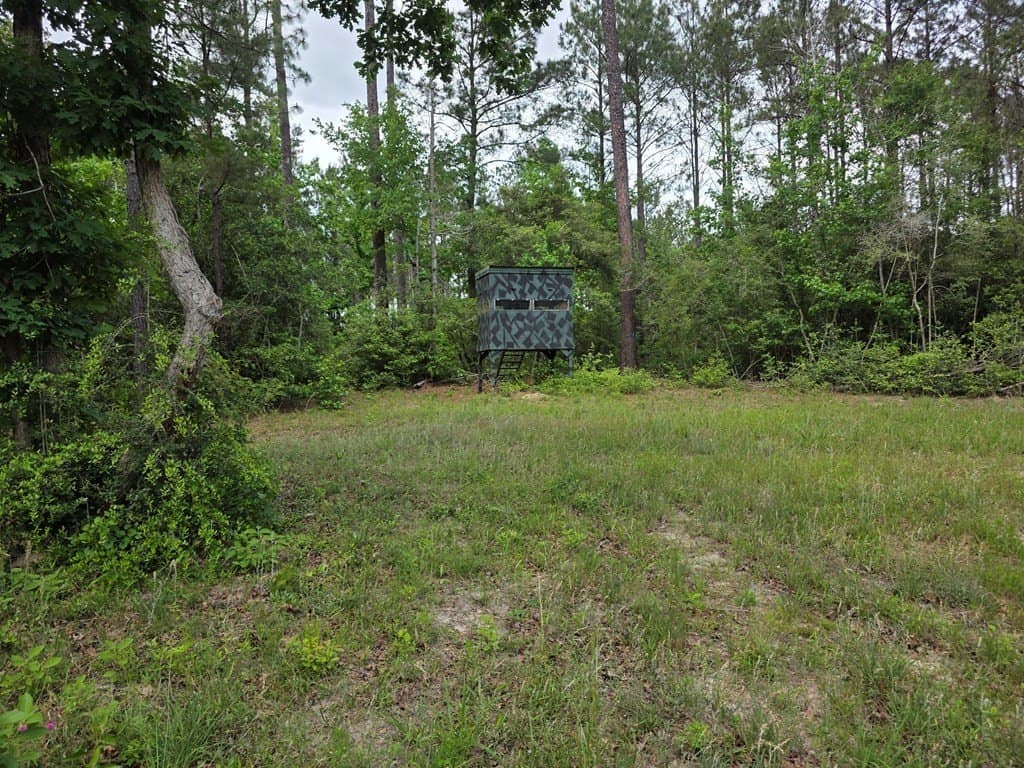 99.89 acres in Texas County - photo 83