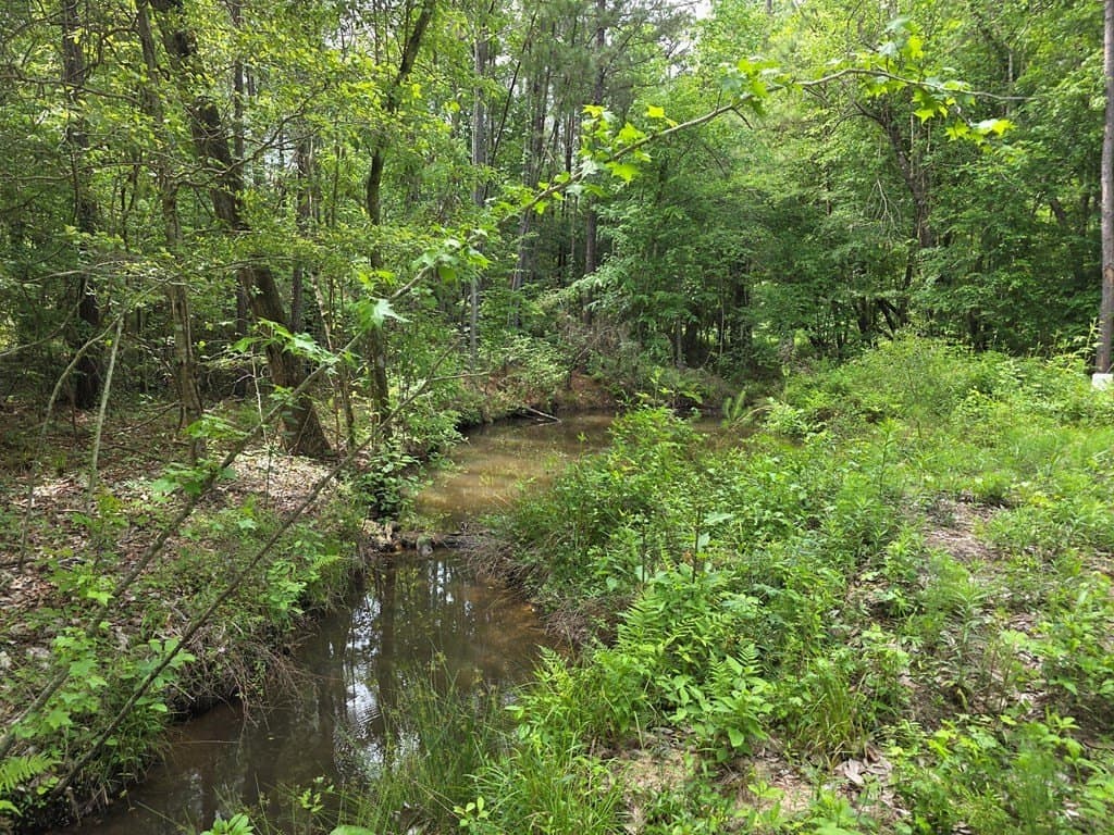 99.89 acres in Texas County - photo 77