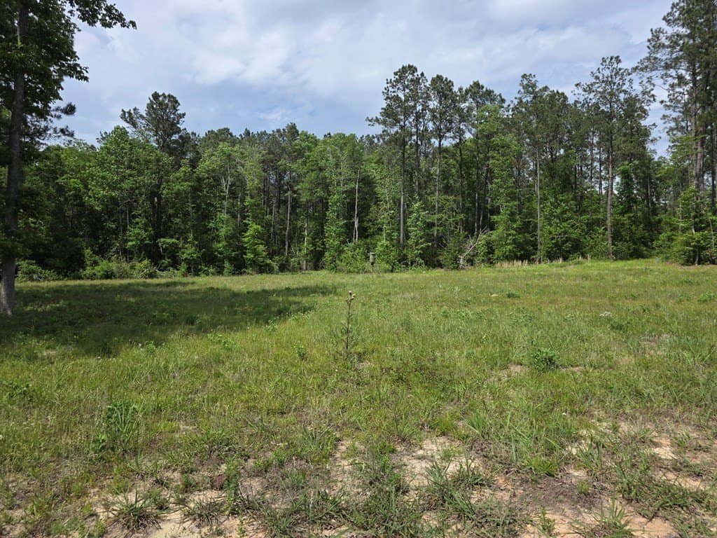 99.89 acres in Texas County - photo 68