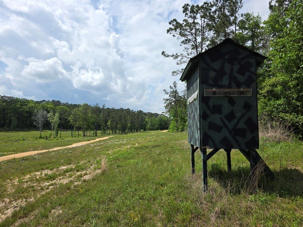 99.89 acres in Texas County - photo 67