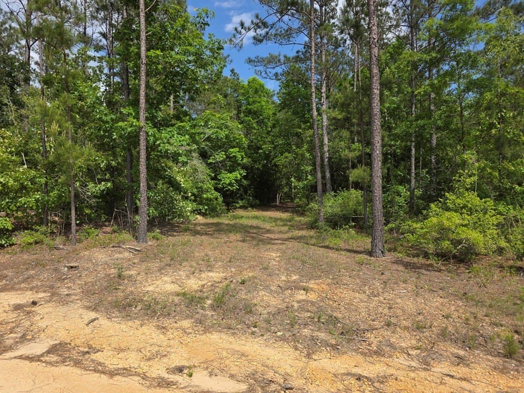 99.89 acres in Texas County - photo 62