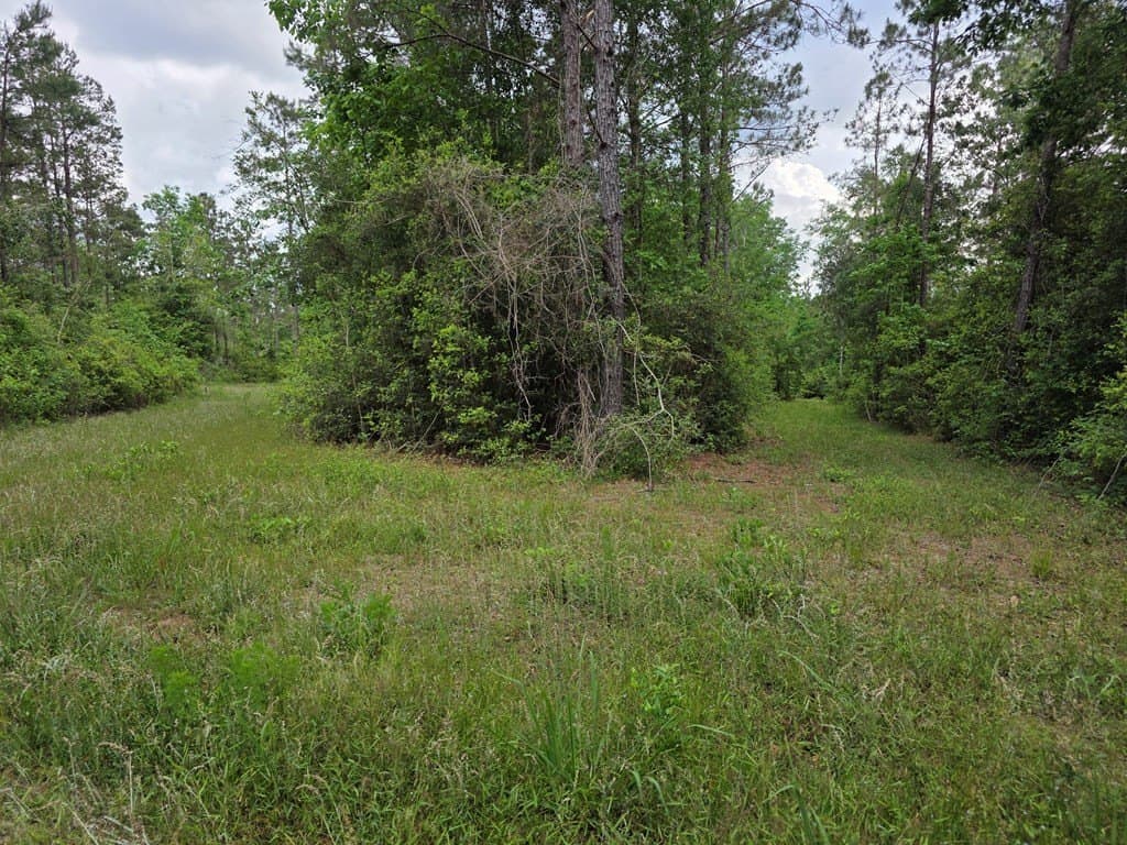 99.89 acres in Texas County - photo 82
