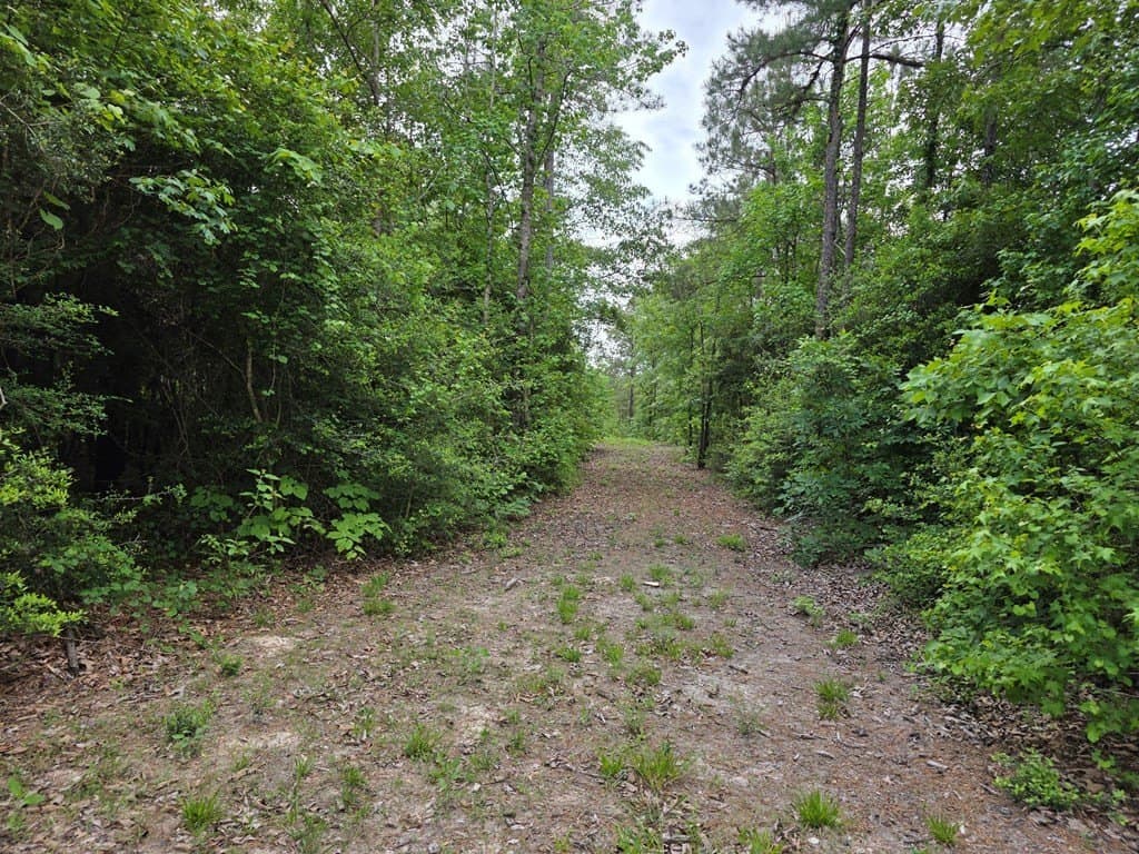 99.89 acres in Texas County - photo 90