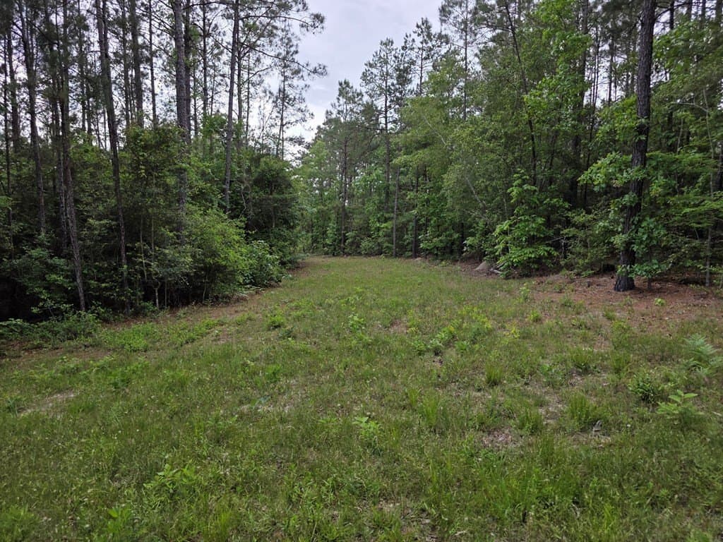 99.89 acres in Texas County - photo 88