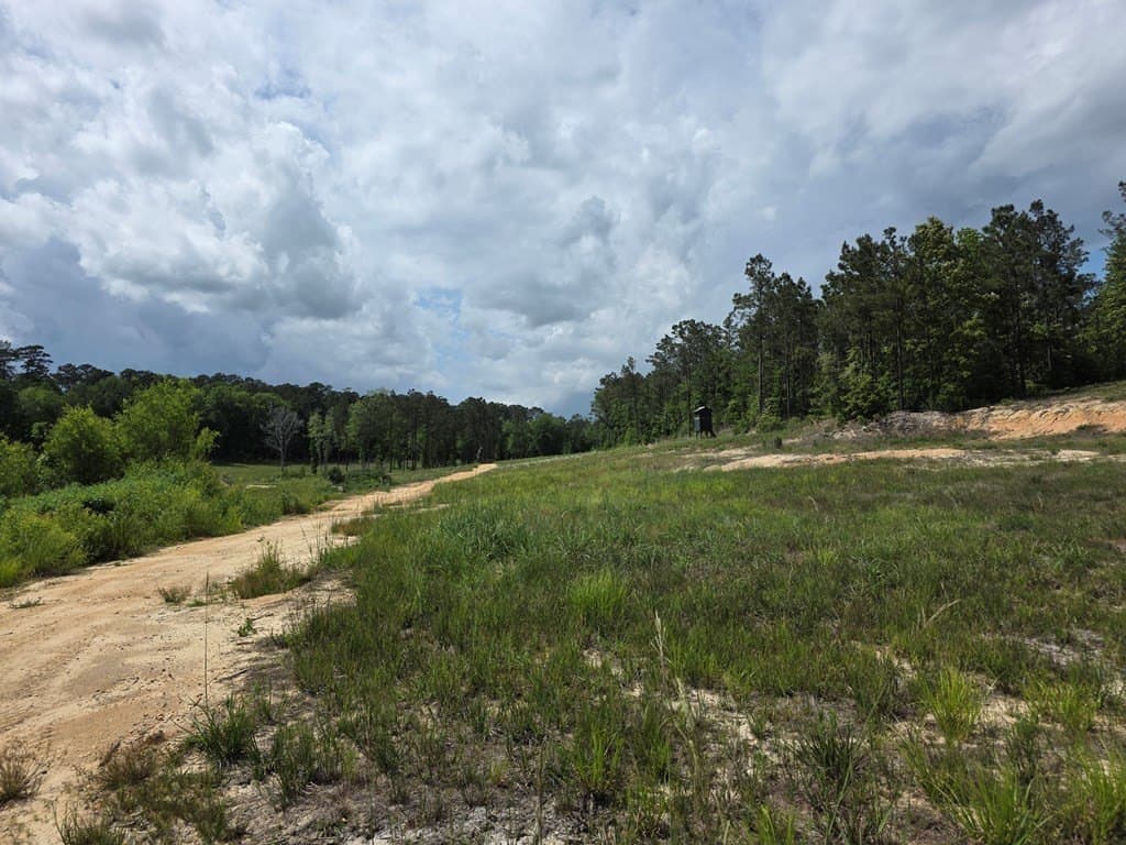 99.89 acres in Texas County - photo 66