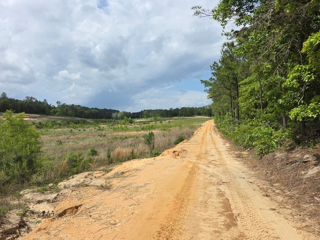 99.89 acres in Texas County - photo 61