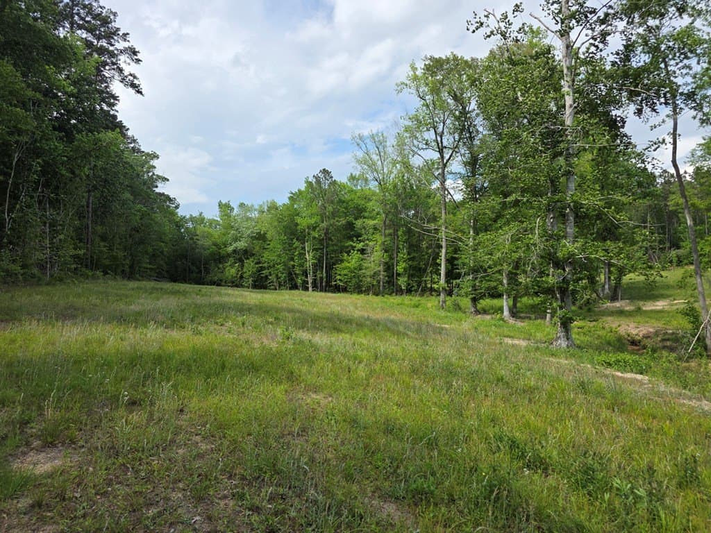 99.89 acres in Texas County - photo 71