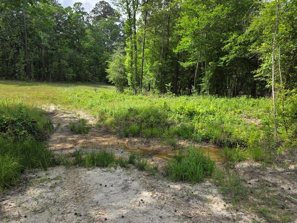 99.89 acres in Texas County - photo 69