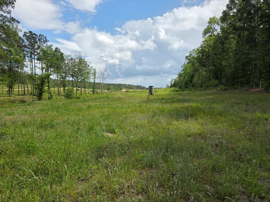 99.89 acres in Texas County - photo 70