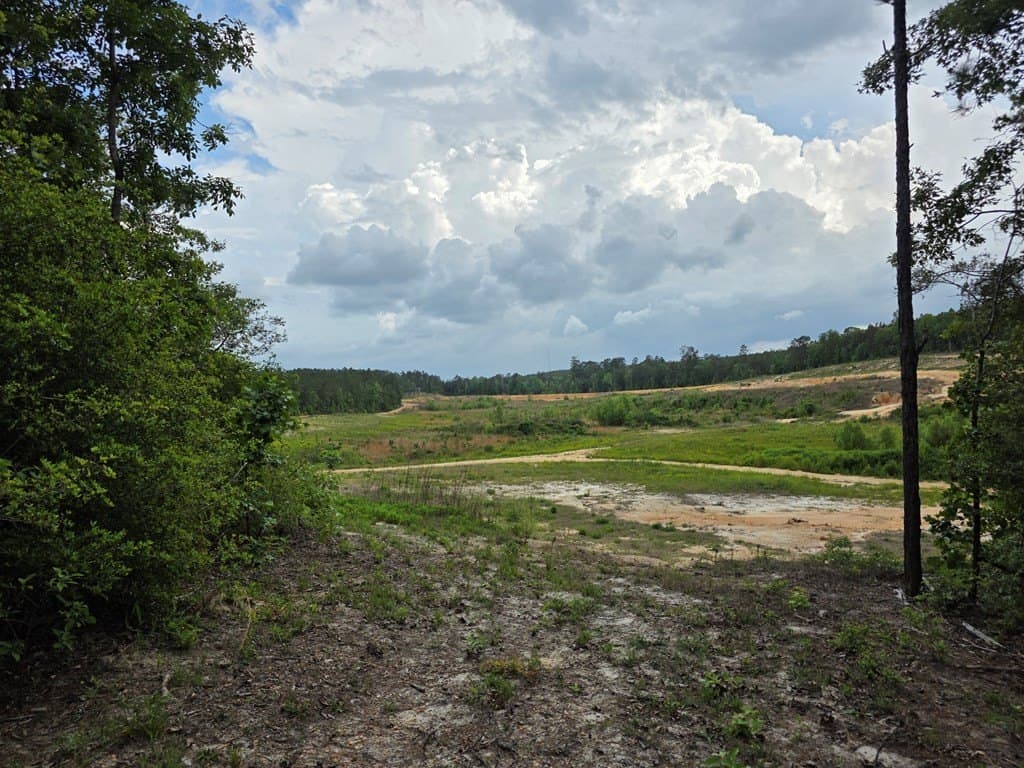 99.89 acres in Texas County - photo 91