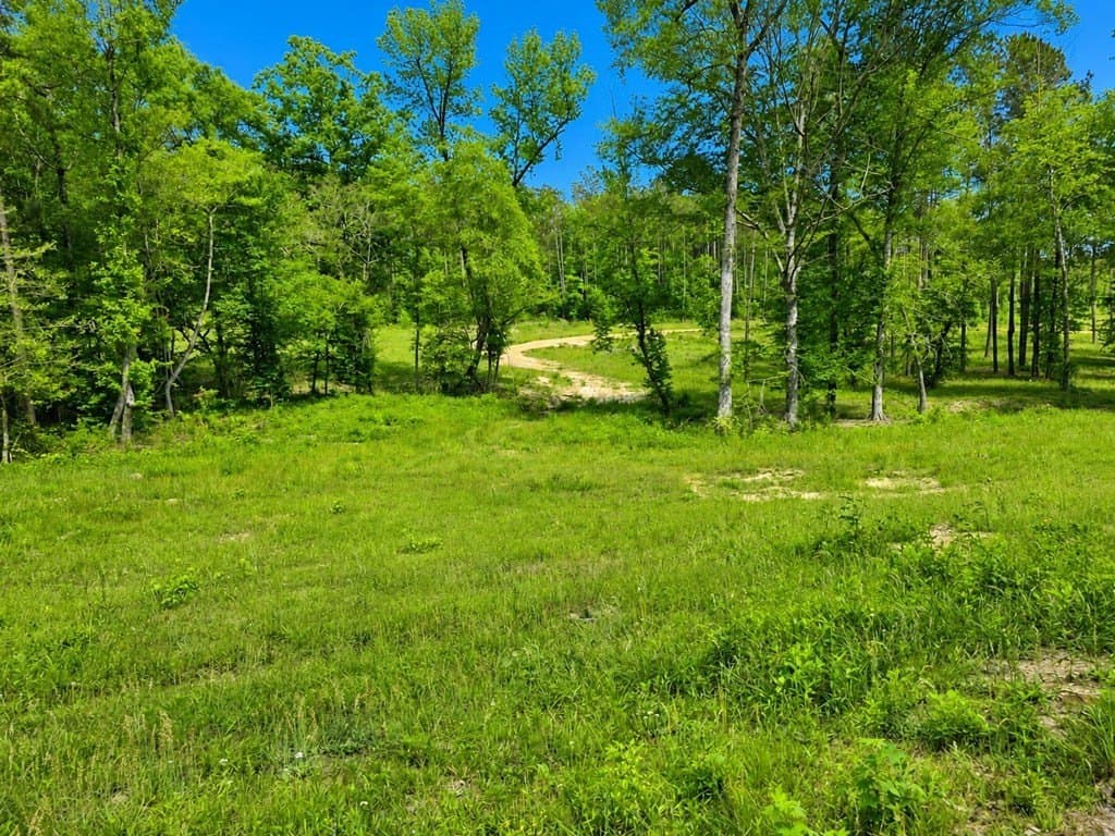 99.89 acres in Texas County gallery image 4