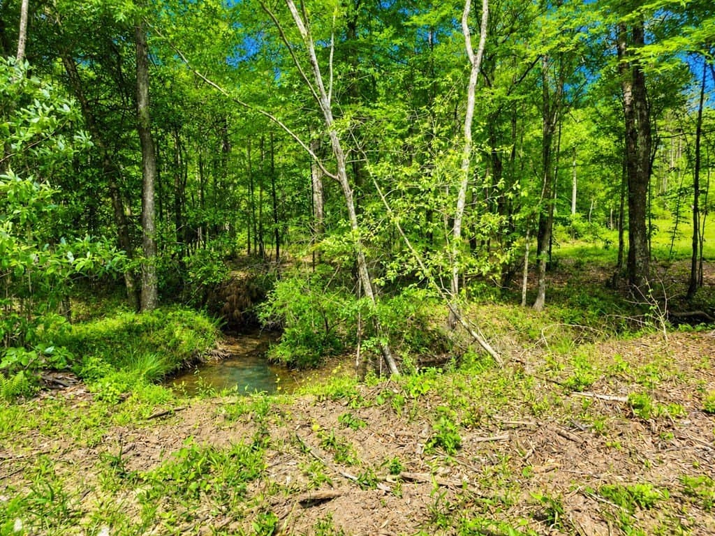 99.89 acres in Texas County gallery image 3