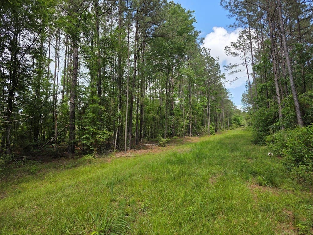 99.89 acres in Texas County - photo 80