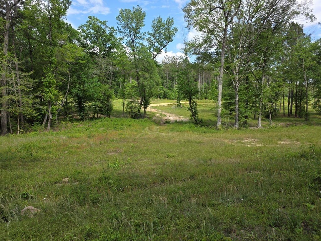 99.89 acres in Texas County - photo 72