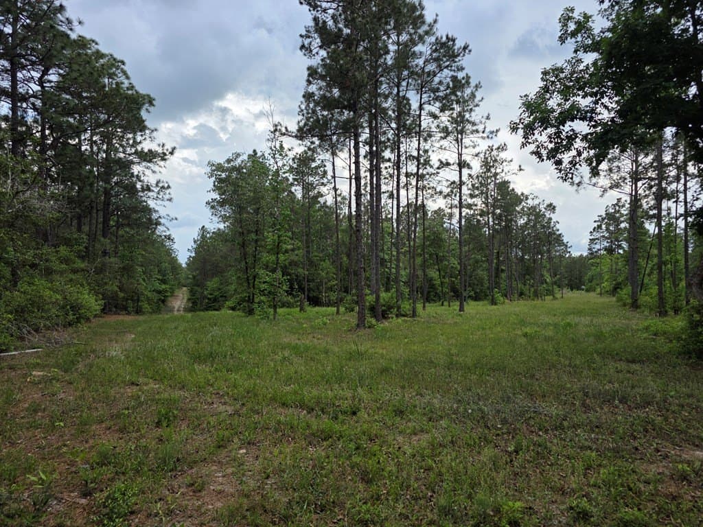 99.89 acres in Texas County - photo 86