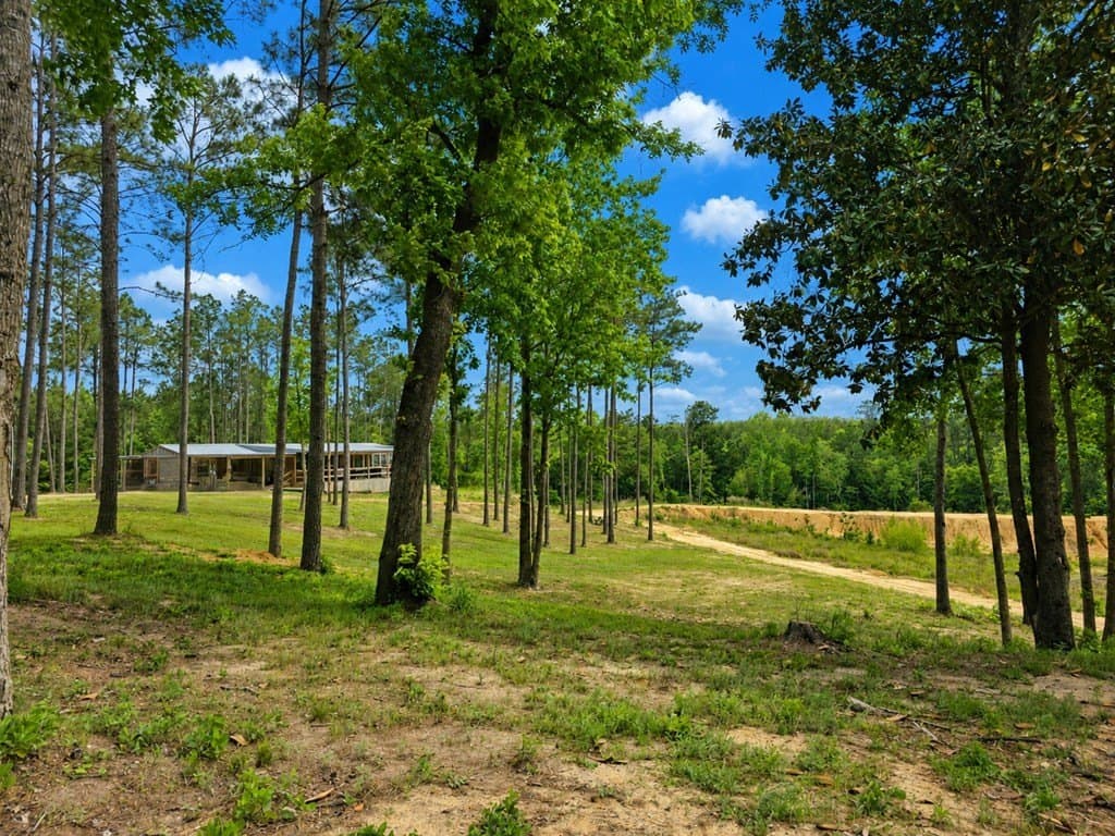 99.89 acres in Texas County featured view
