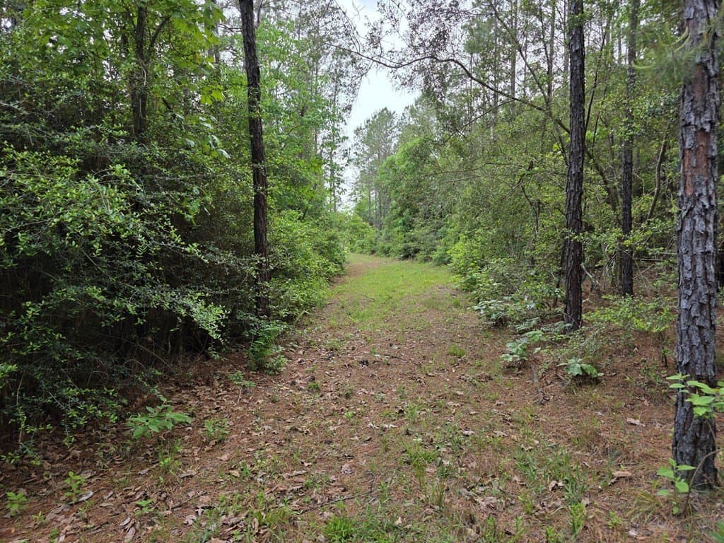 99.89 acres in Texas County - photo 89