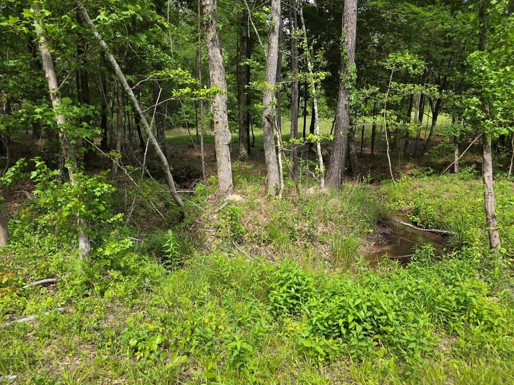 99.89 acres in Texas County - photo 73