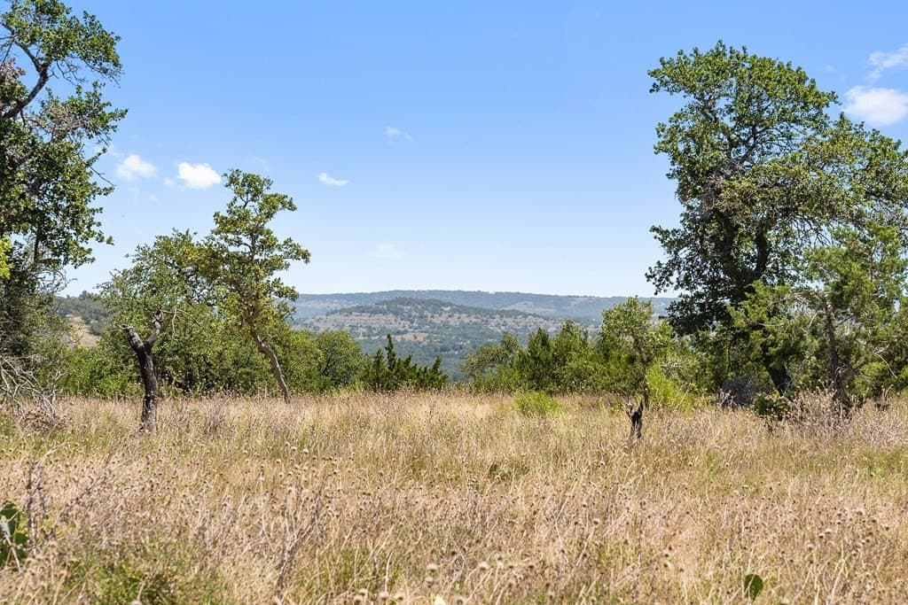 22.21 acres in Blanco County gallery image 3