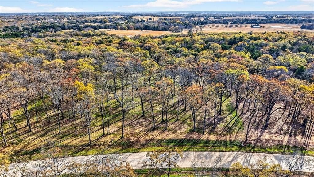 1.1 acres in Grayson County gallery image 4