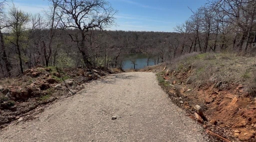 60 acres in Parker County gallery image 3