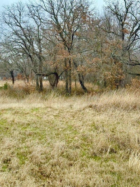 30.47 acres in Wise County gallery image 2