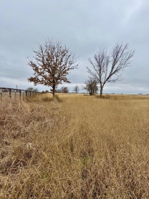 30.47 acres in Wise County - photo 19