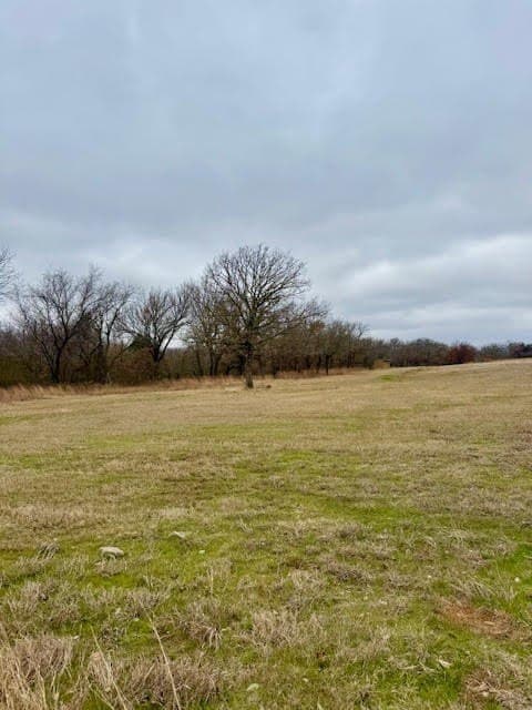 30.47 acres in Wise County gallery image 3