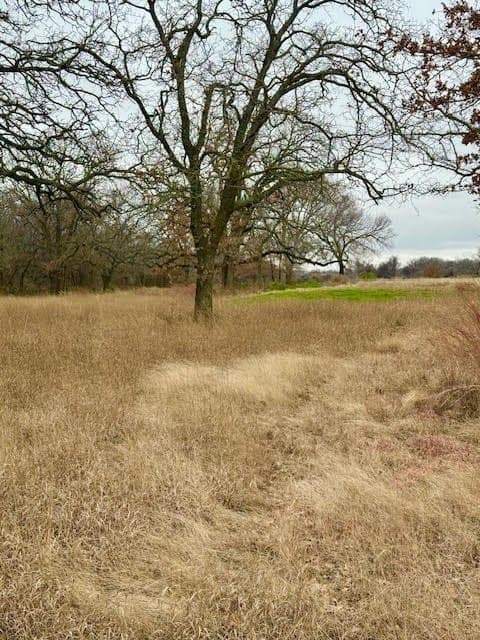 30.47 acres in Wise County - photo 10