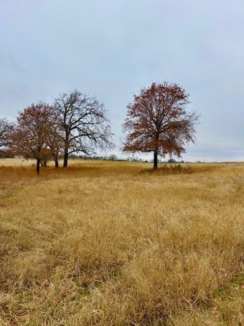 30.47 acres in Wise County - photo 9