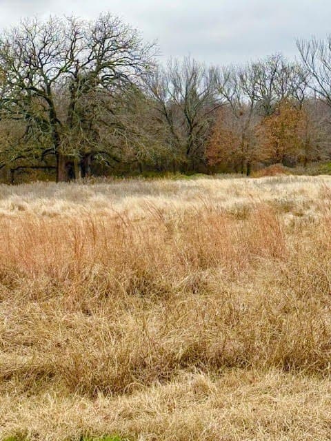 30.47 acres in Wise County - photo 17