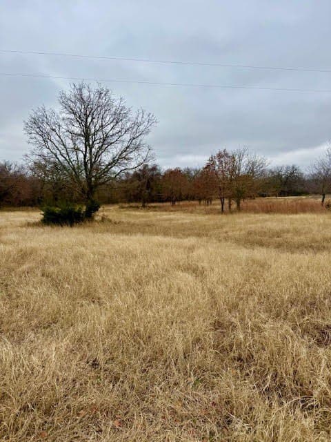30.47 acres in Wise County - photo 11
