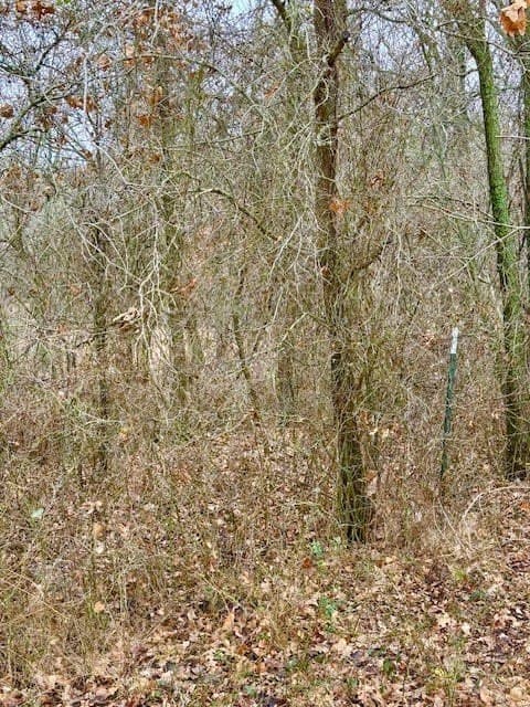 30.47 acres in Wise County - photo 18