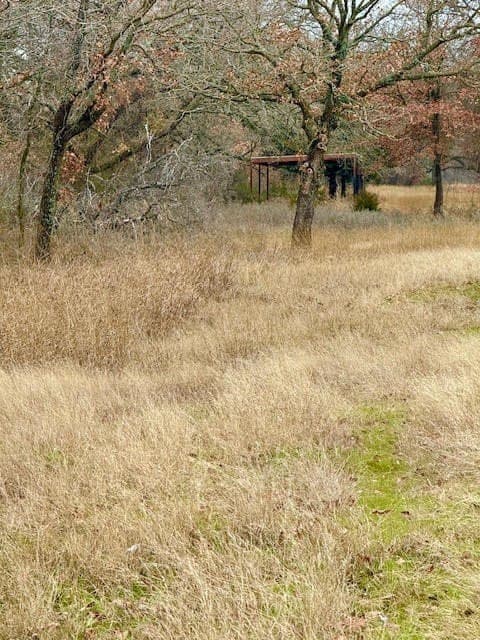 30.47 acres in Wise County gallery image 4