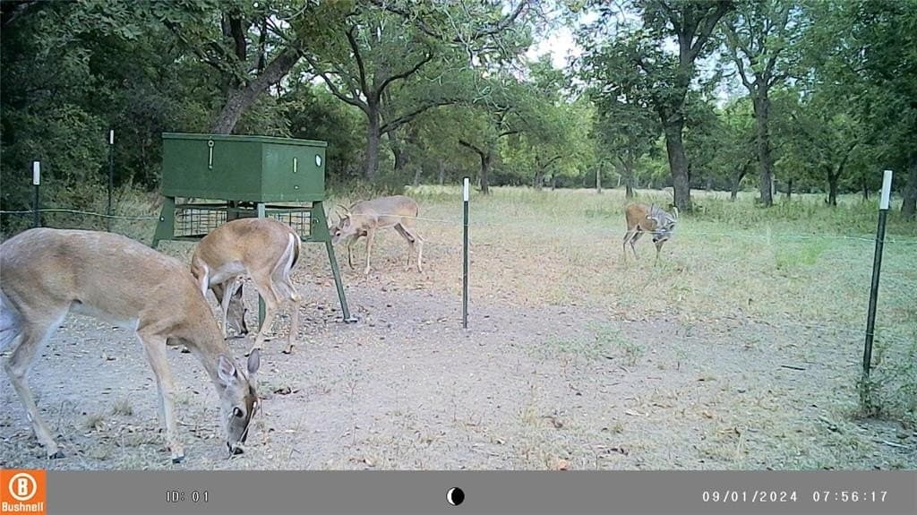 49.32 acres in Comanche County